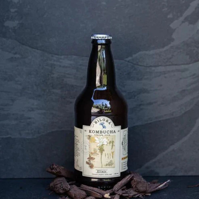 Kombucha y fermentados