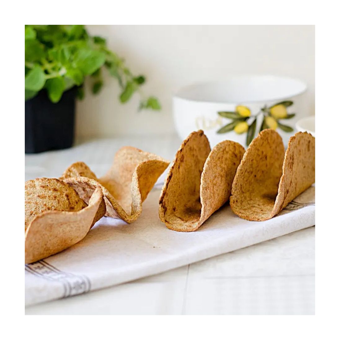 Cetortilla Tradicional (8u)